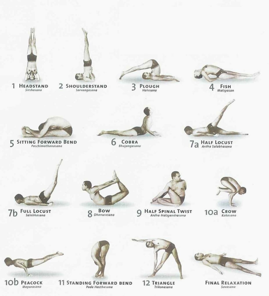 shivanda yoga benefits